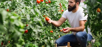 man holding tomato