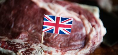 Great British Beef steak with a Union Jack Flag sticking out of the meat.