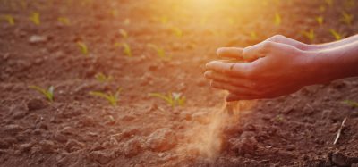 Food supply chain at risk: what the industry must do to safeguard its future