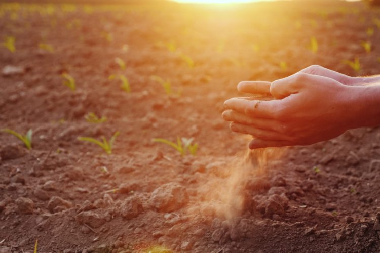 Food supply chain at risk: what the industry must do to safeguard its future
