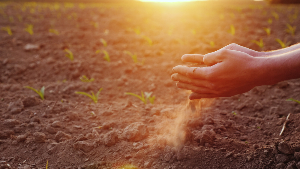 Food supply chain at risk: what the industry must do to safeguard its future