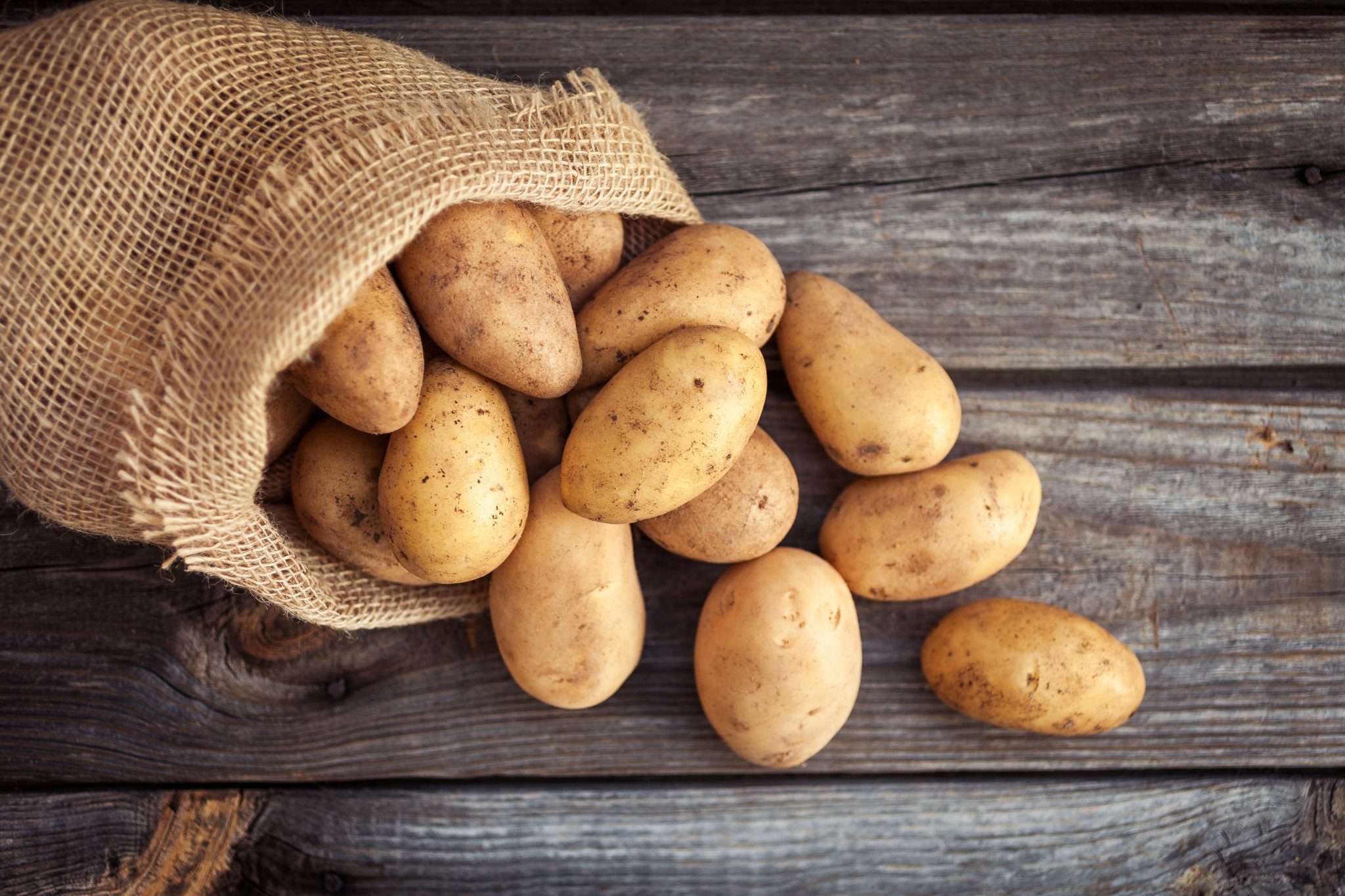 The new milk alternative is made from potatoes - New Food Magazine