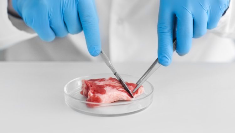 meat shelf-life assessment