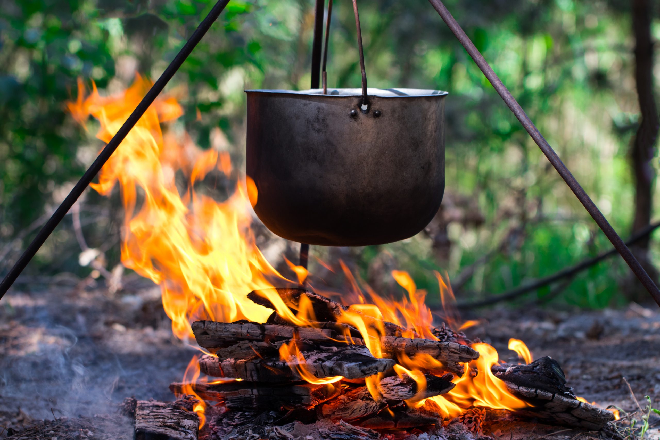 Cooking over firewood