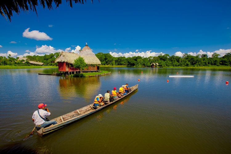 Peruvian amazon