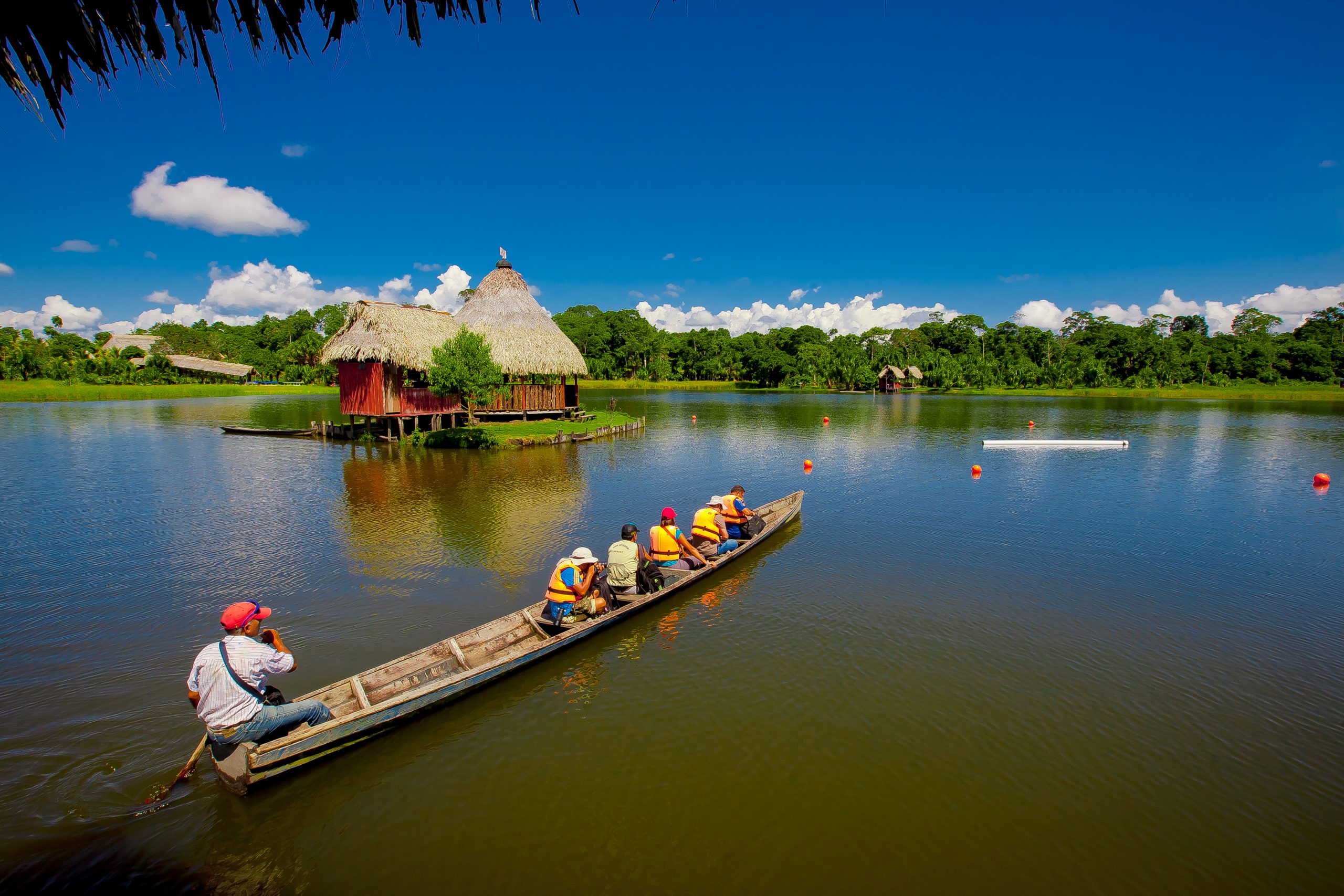 Peruvian amazon