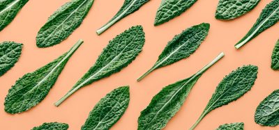 kale