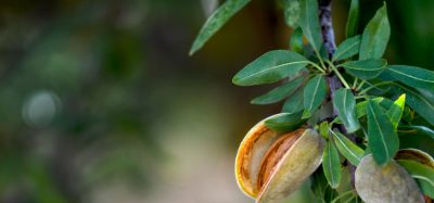sustainable agriculture