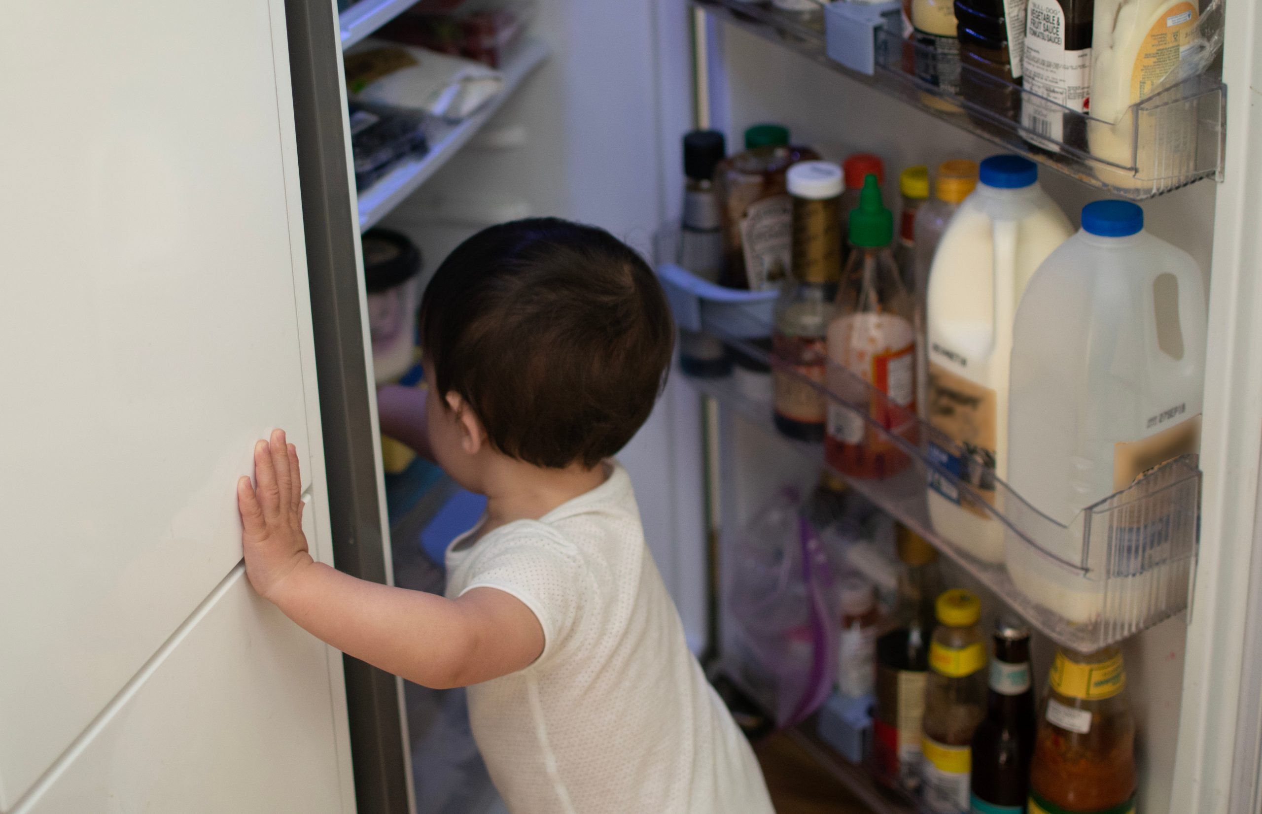 child looking in fridge
