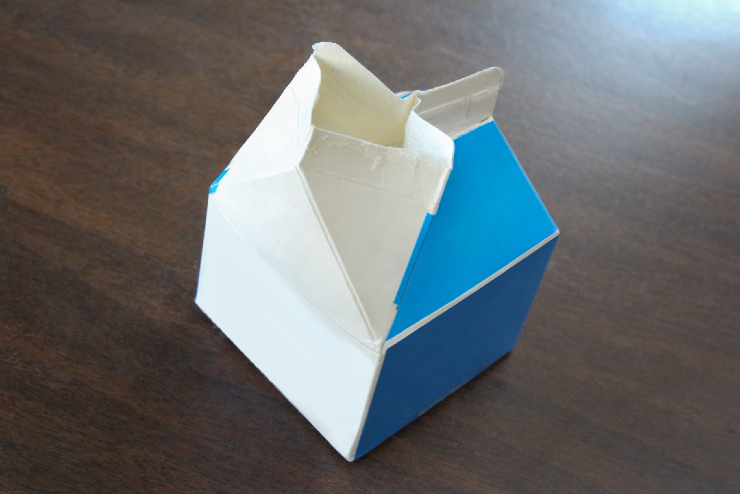 milk carton