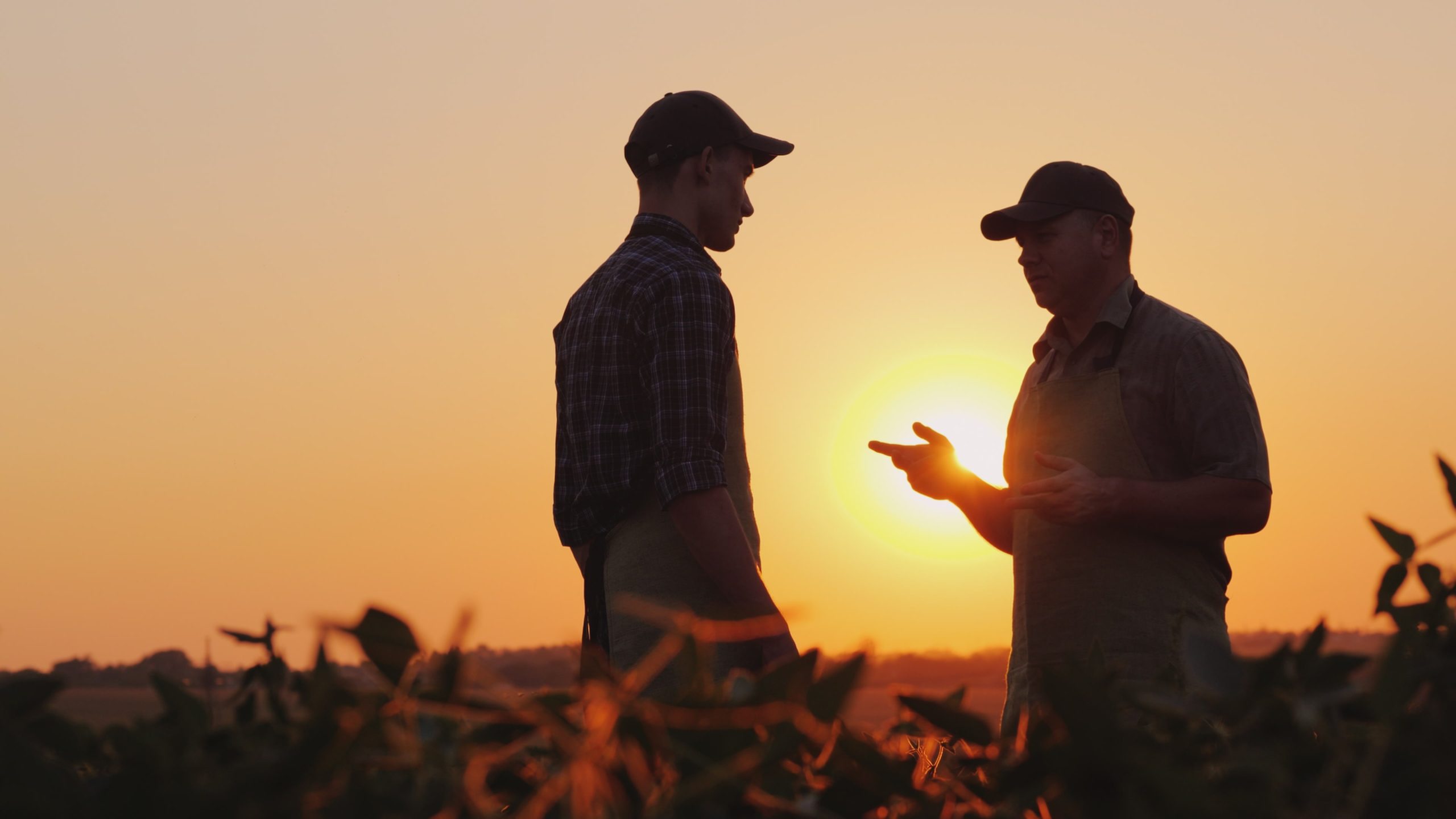 Farmers talking