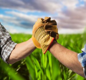 farmers shaking hands