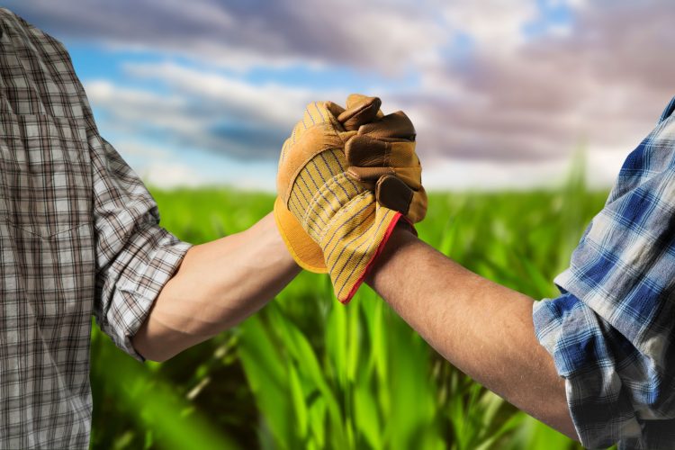 farmers shaking hands