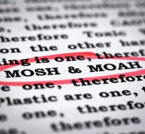 MOSH and MOAH