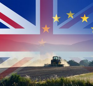 UK EU farming