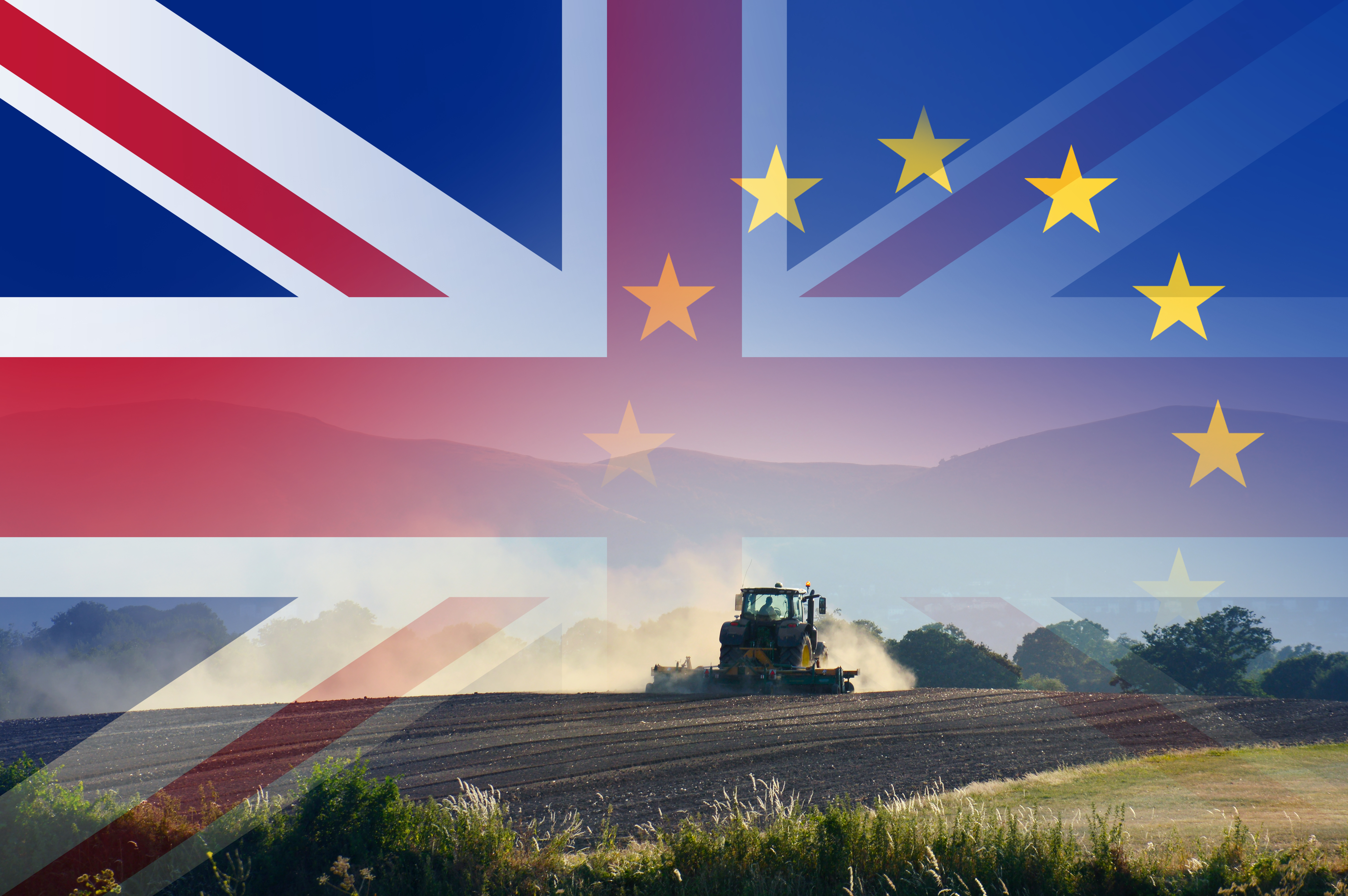 UK EU farming