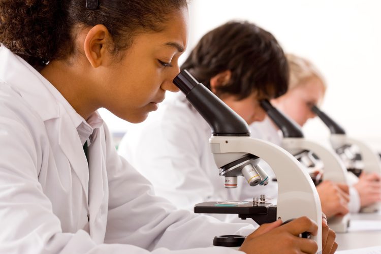 students looking into microscope