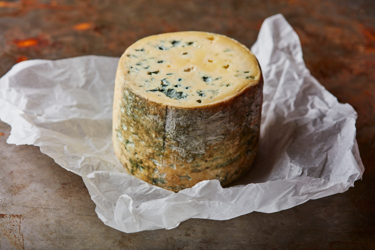 mould on stilton cheese