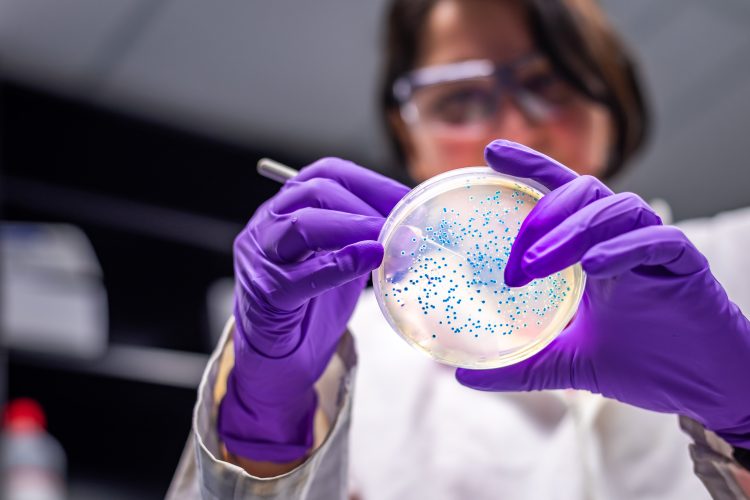 scientist examines microbiome