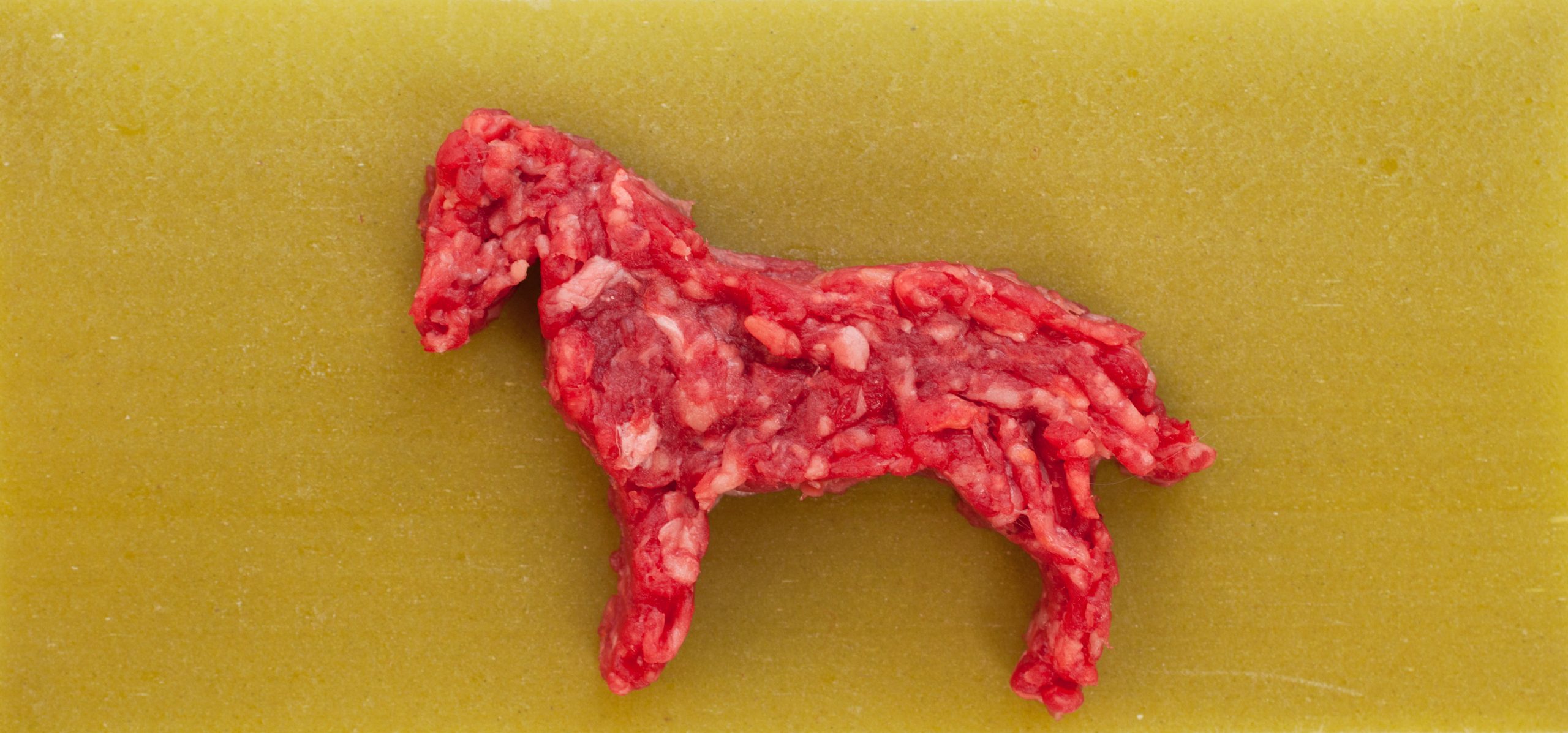 horse meat