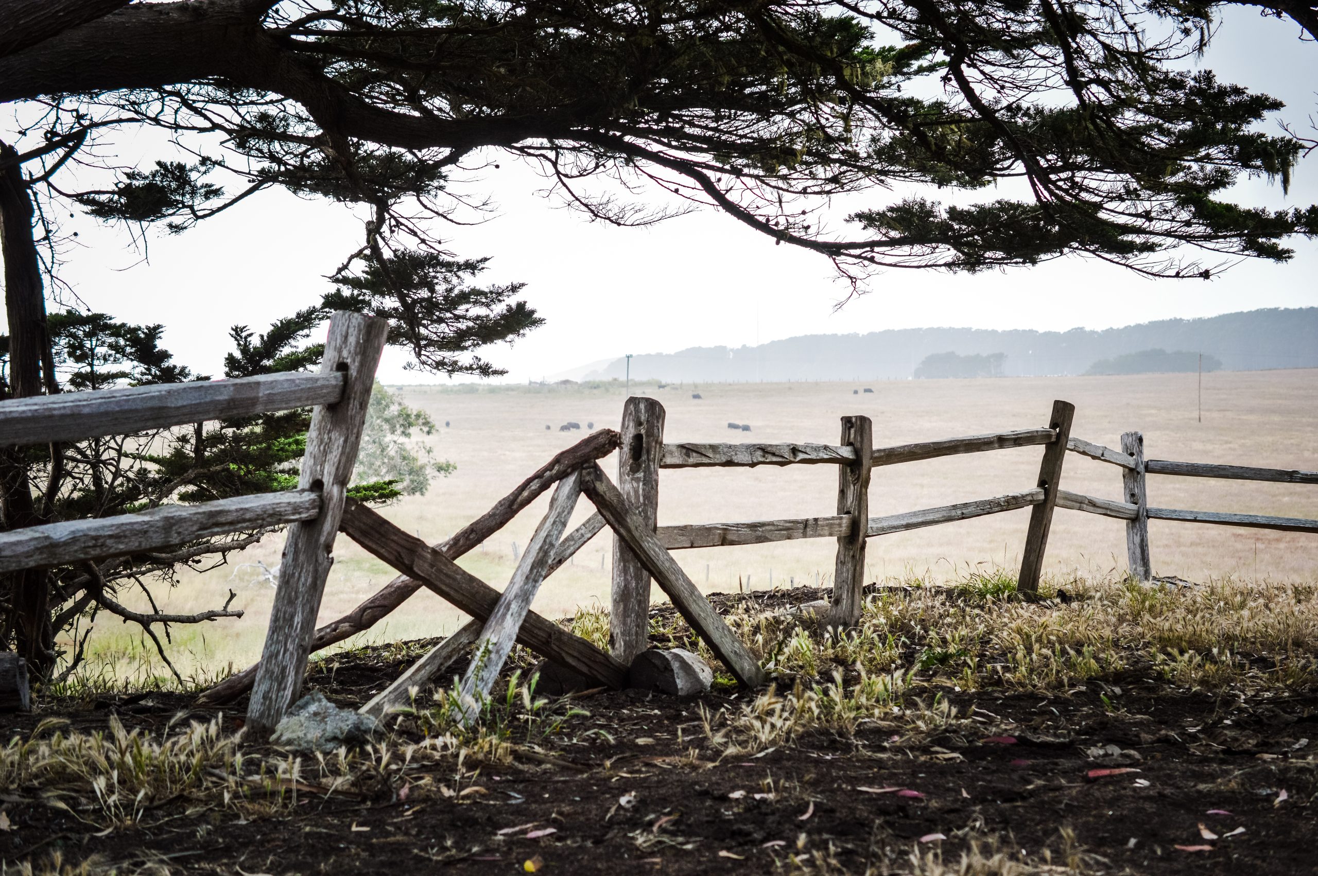 broken fence