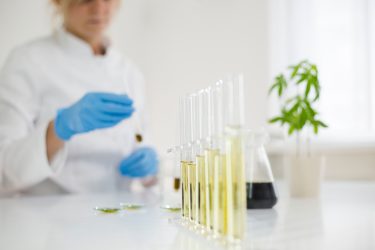 CBD testing