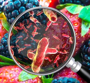 New research furthers industry understanding of foodborne bacteria survival in food preparation environments