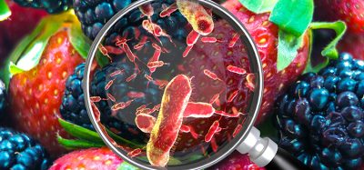New research furthers industry understanding of foodborne bacteria survival in food preparation environments