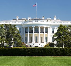 the white house