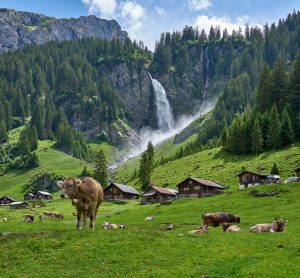 switzerland pesticide ban