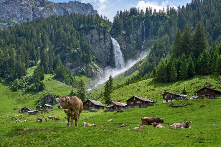 switzerland pesticide ban