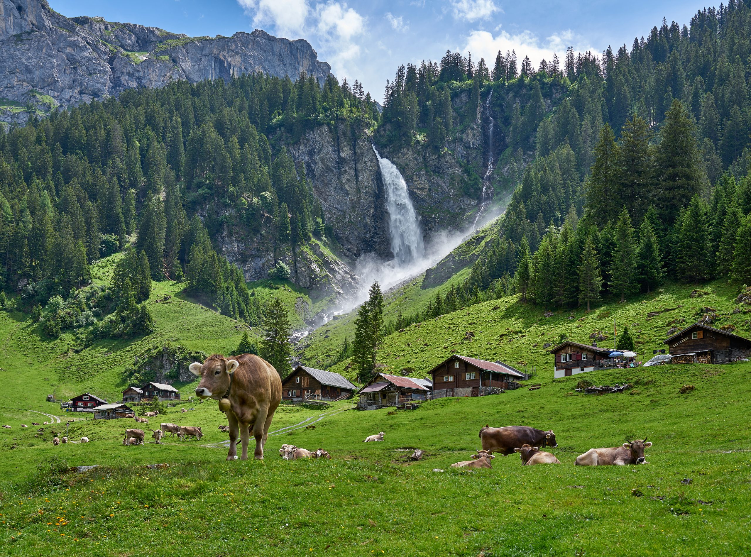 switzerland pesticide ban