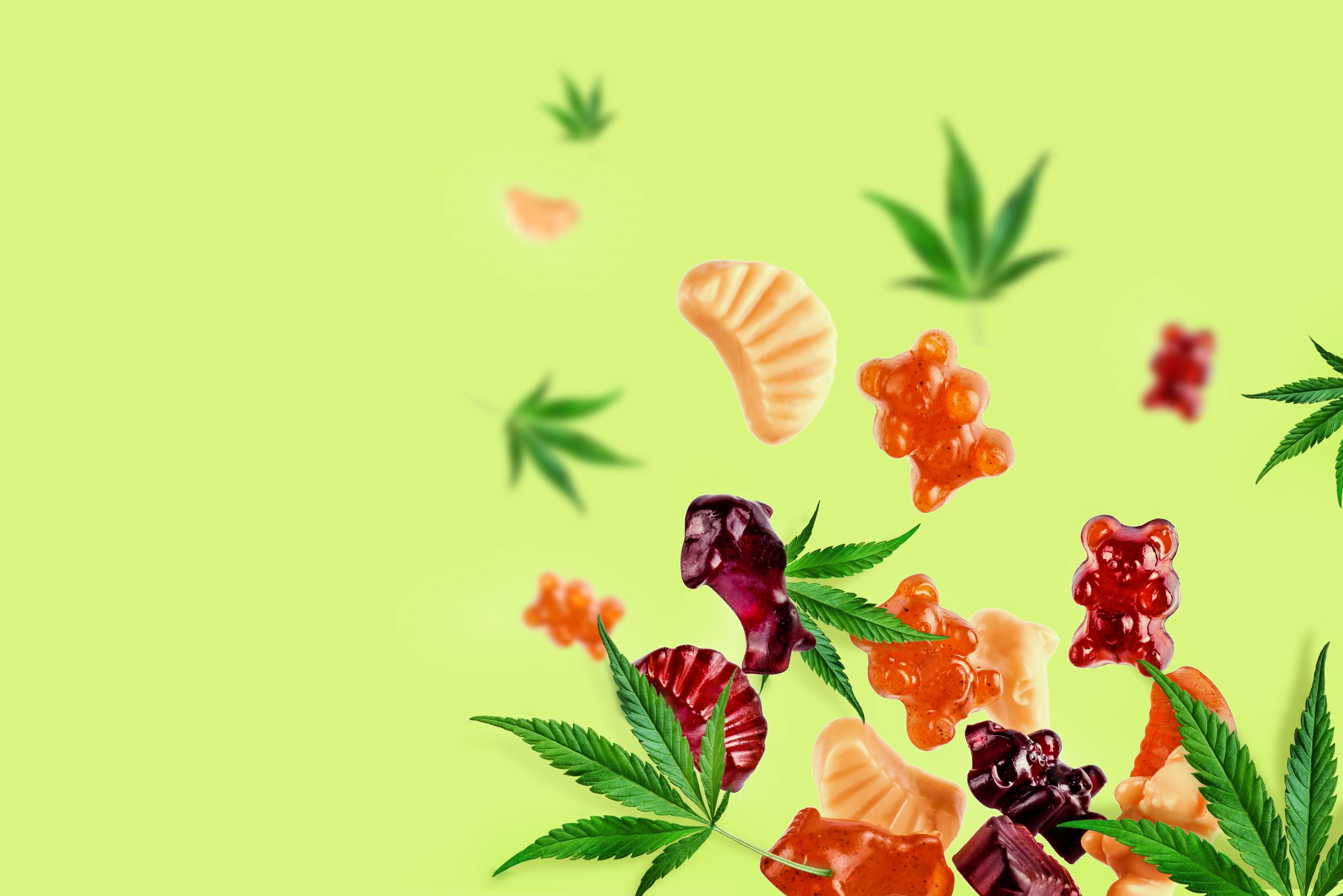 cbd gummies