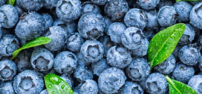 FDA upgrades frozen blueberries recall to Class I over listeria concern