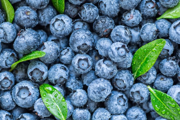 blueberries