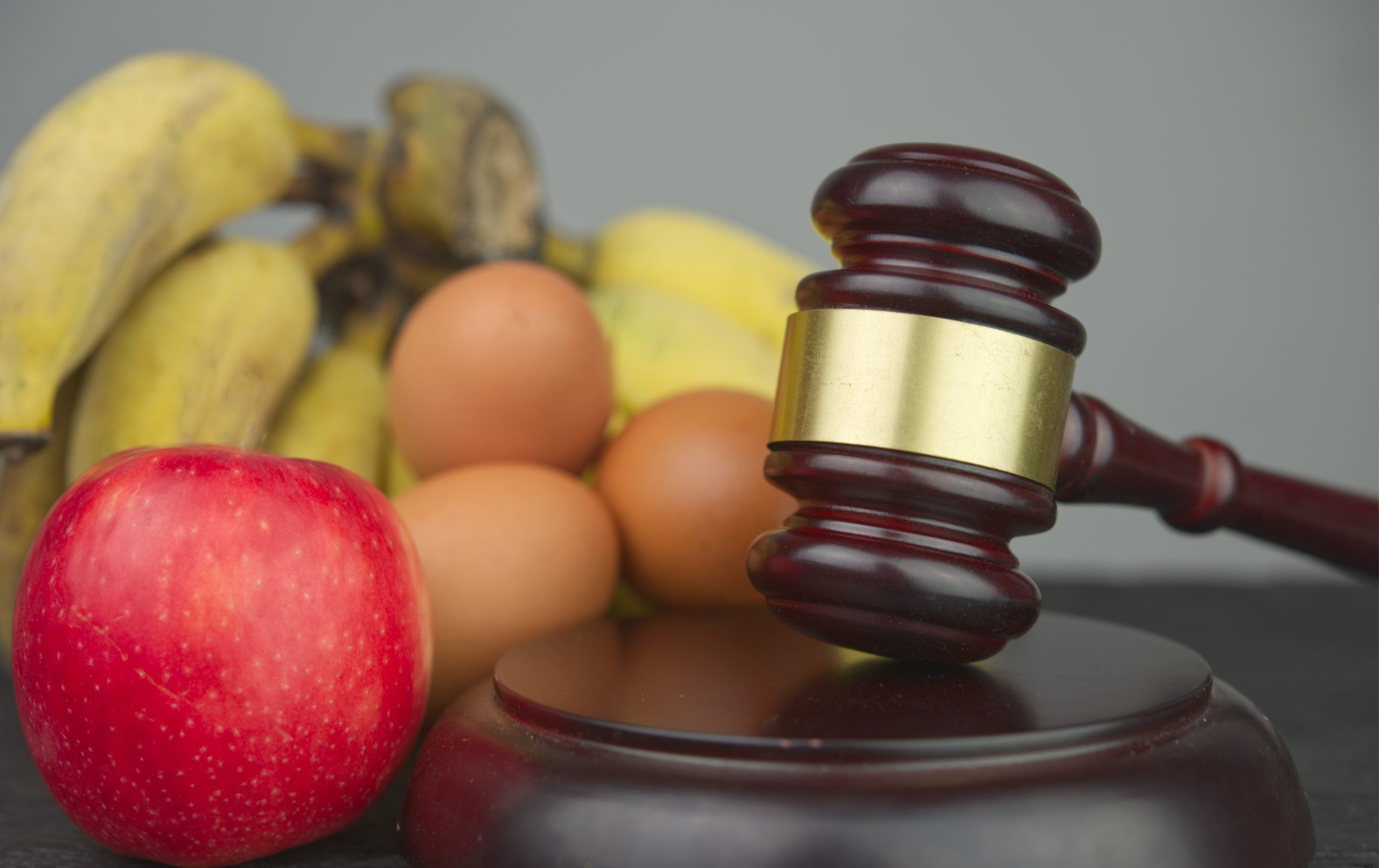 food law concept