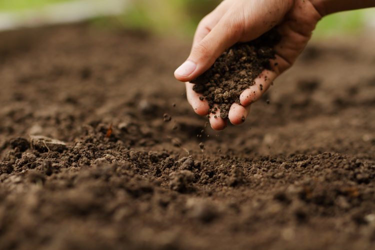 soil health 