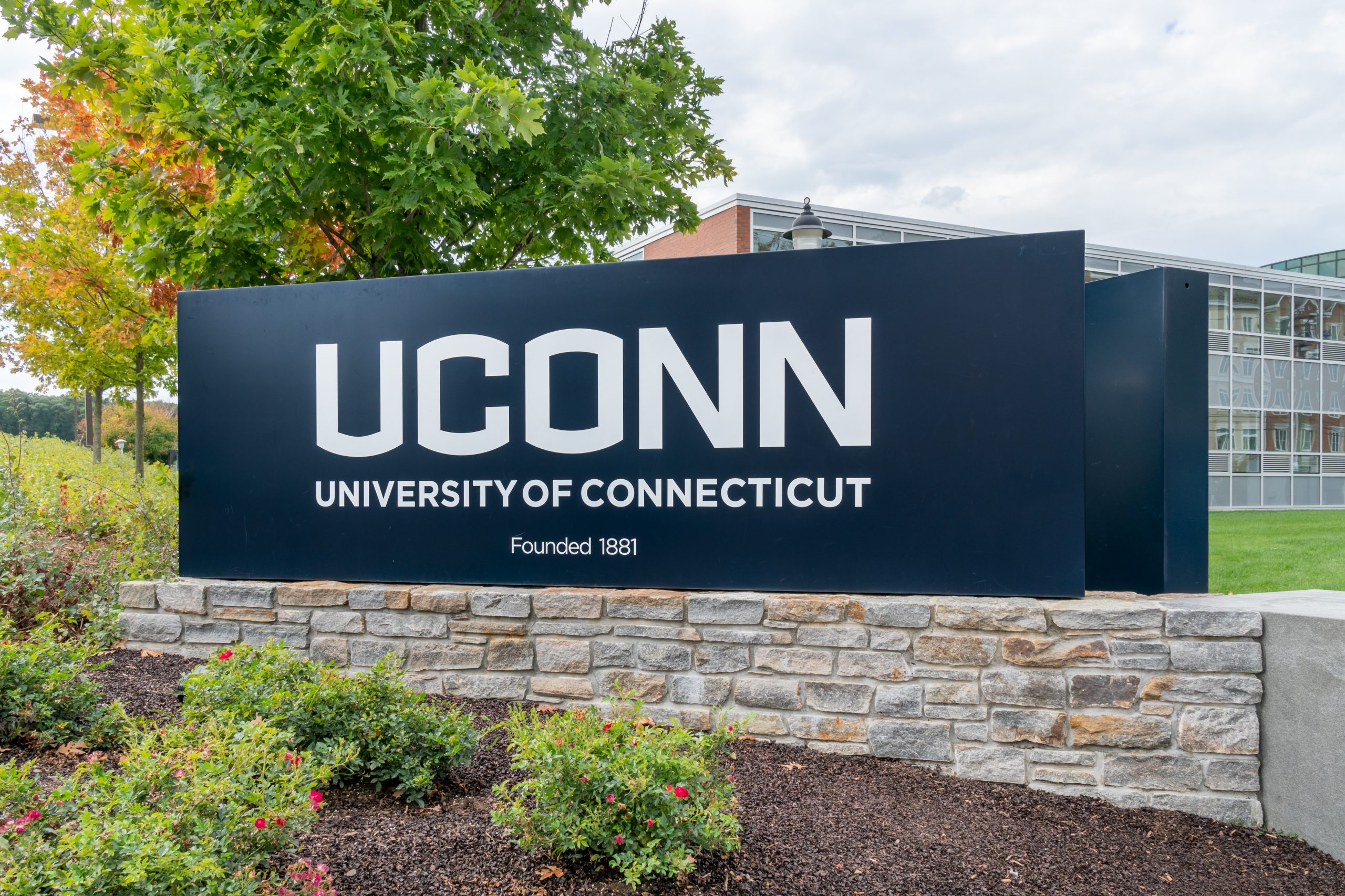 Washington University School of Medicine AND UCONN