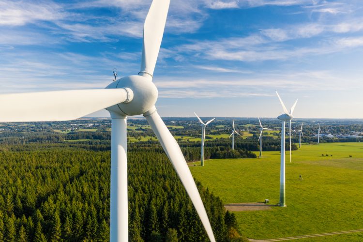 wind turbines in field