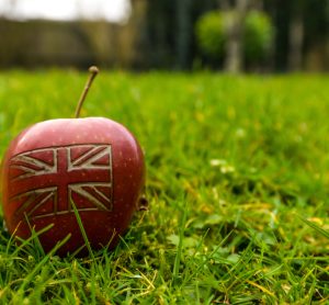 Large food and farming alliance urges government to deliver strong UK food strategy reform