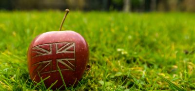 Large food and farming alliance urges government to deliver strong UK food strategy reform