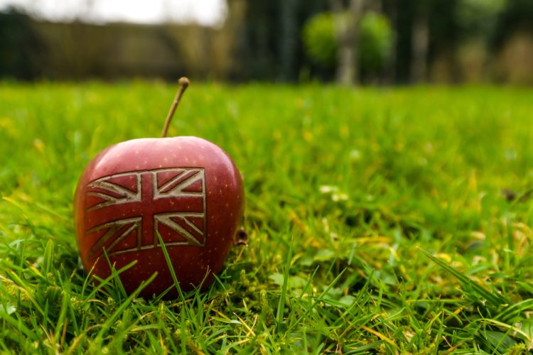 Large food and farming alliance urges government to deliver strong UK food strategy reform