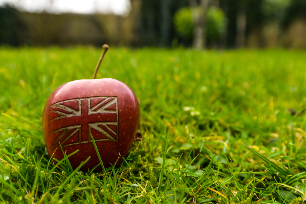 Large food and farming alliance urges government to deliver strong UK food strategy reform