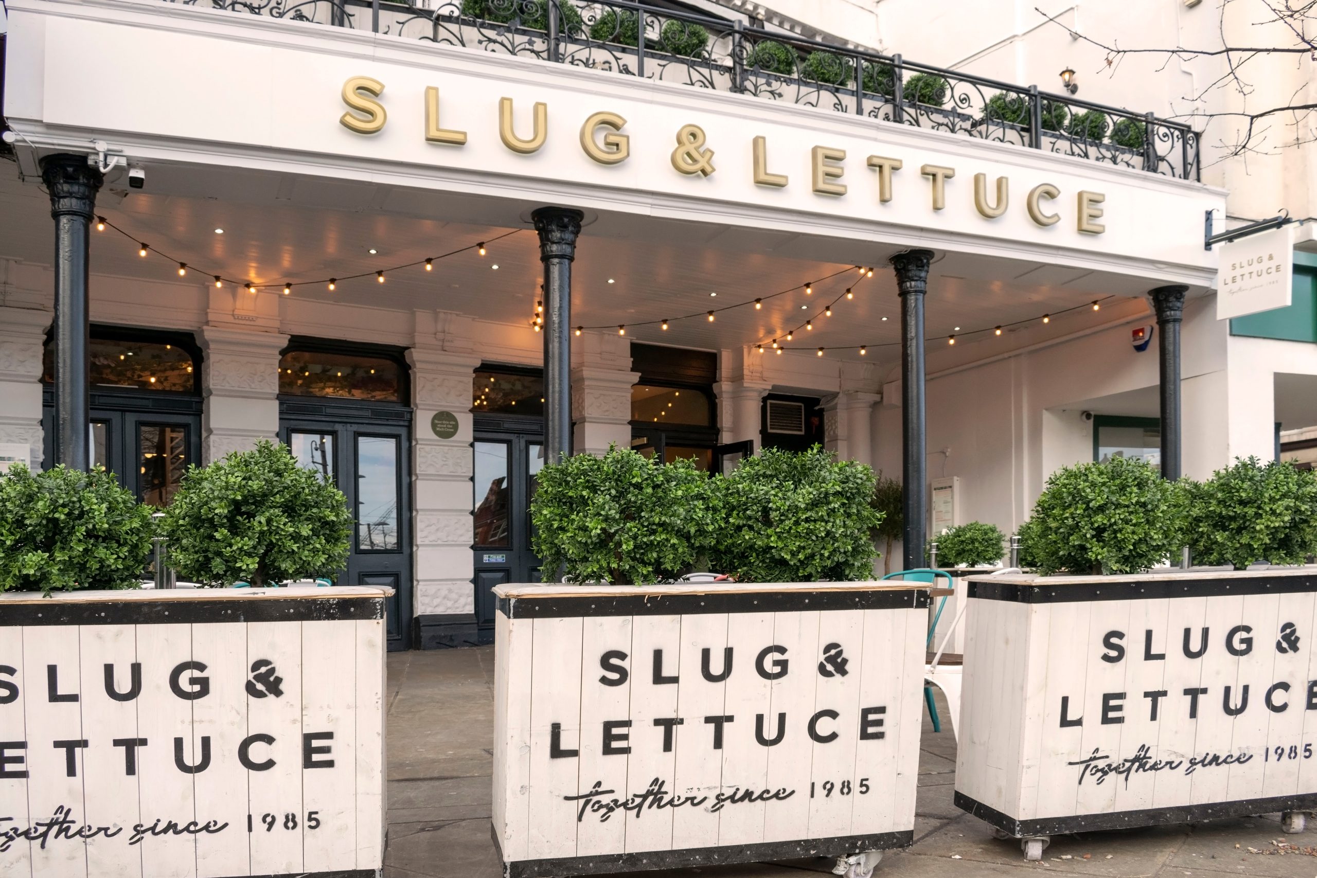slug and lettuce