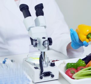 £3m BBSRC and Defra funding to accelerate healthier UK food innovation