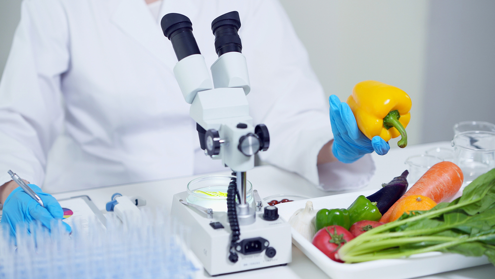 £3m BBSRC and Defra funding to accelerate healthier UK food innovation