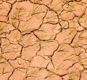 drought in Madagascar