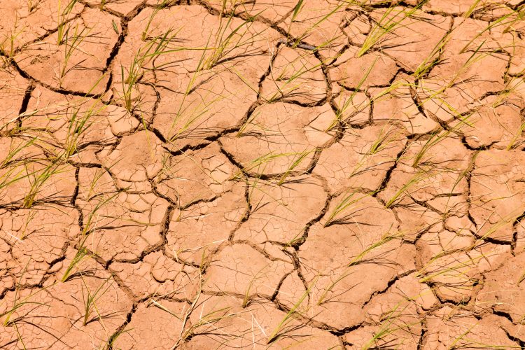 drought in Madagascar