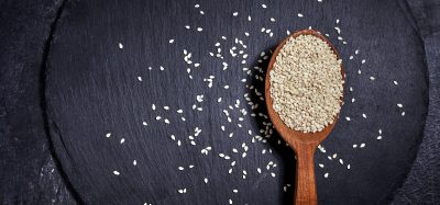 sesame