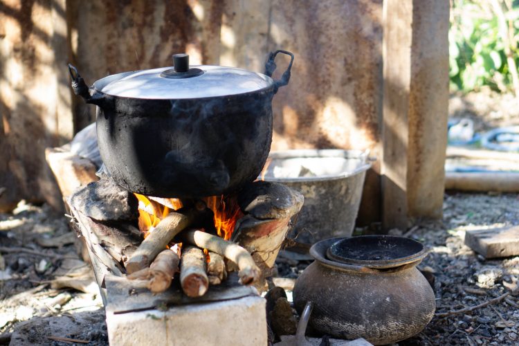 wood cooking stove